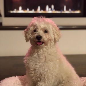 Meet your Posher, Finnan